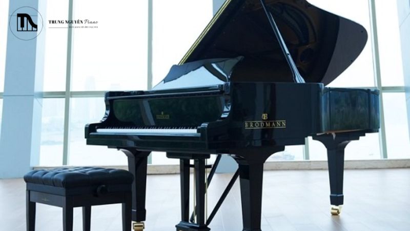 So sánh Grand Piano và Upright: Đặc điểm & khác biệt 10 So sánh Grand Piano và Upright Piano thì dòng Grand tạo ra âm thanh vang hơn, giàu âm sắc hơn