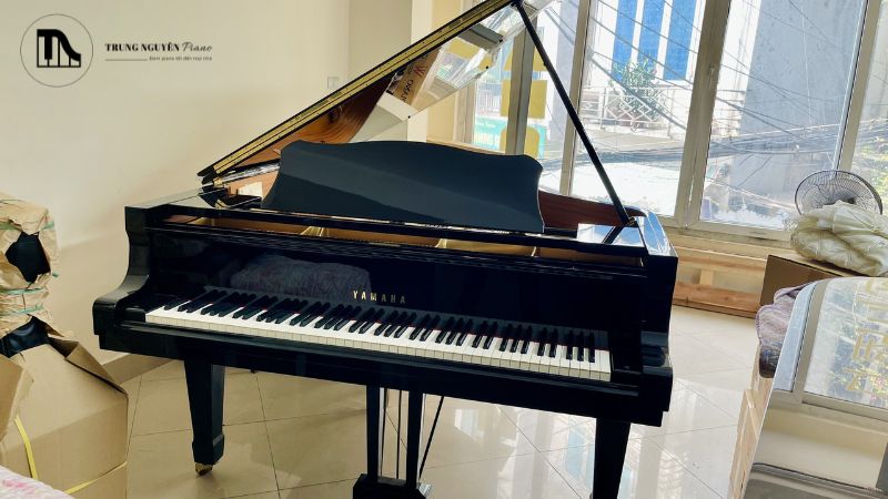 So sánh Grand Piano và Upright: Đặc điểm & khác biệt 11 Grand Piano là nhạc cụ có khả năng biểu đạt cao để rèn luyện và biểu diễn