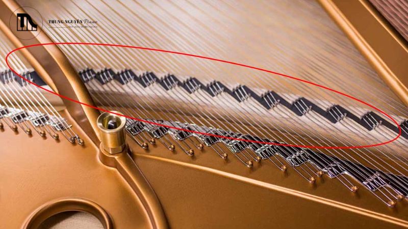 So sánh Grand Piano và Upright: Đặc điểm & khác biệt 4 Bảng cộng hưởng (Soundboard), thường được ví như "linh hồn" của cây đàn piano
