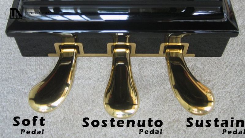 So sánh Grand Piano và Upright: Đặc điểm & khác biệt 7 Hệ thống bàn đạp trên Grand Piano là công cụ không thể thiếu giúp người chơi mở rộng khả năng biểu cảm