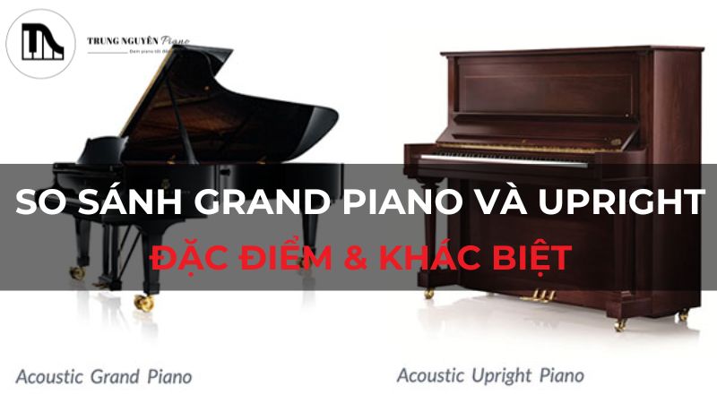 So sánh Grand Piano và Upright: Đặc điểm & khác biệt
