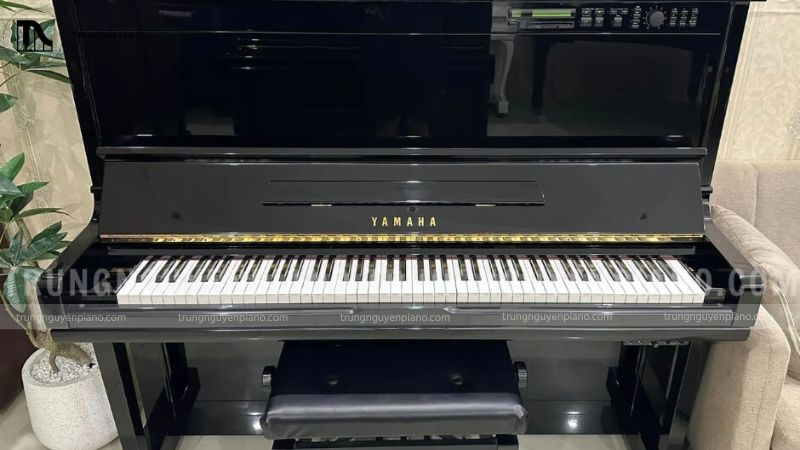 Nhận thấy những thiếu sót của piano điện khi kỹ năng ngày càng cao