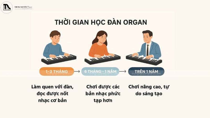 Các mốc học đàn organ