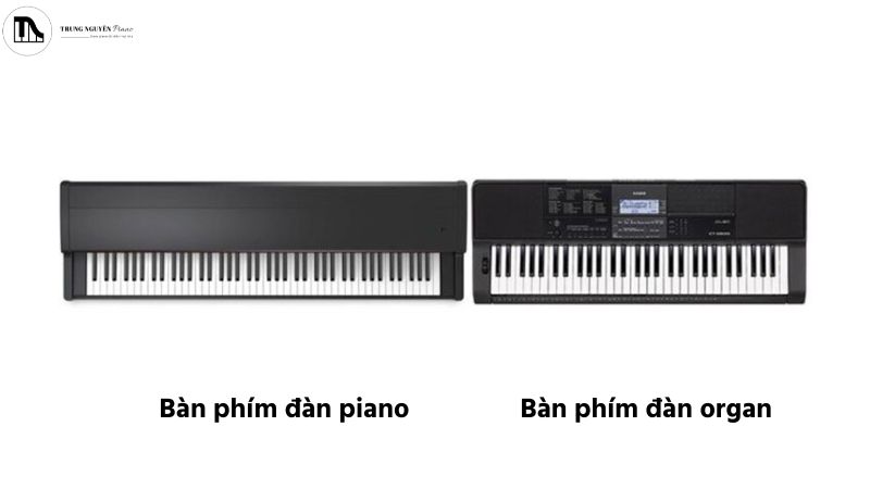 Bàn phím đàn organ và piano
