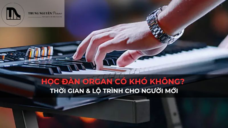 Học đàn organ có khó không? Thời gian & lộ trình cho người mới