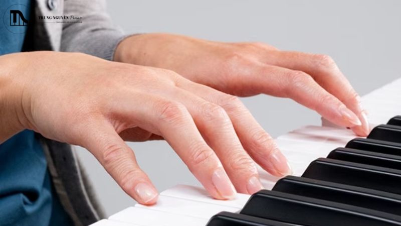 Tìm hiểu về bàn phím đàn organ