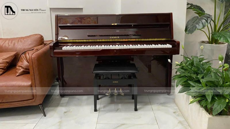 Các phân khúc giá đàn piano phổ biến trên thị trường