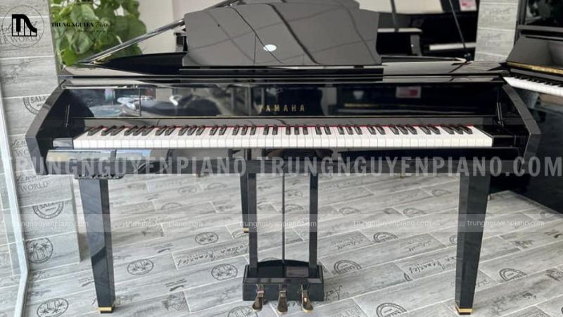 Ai nên chọn Digital Piano
