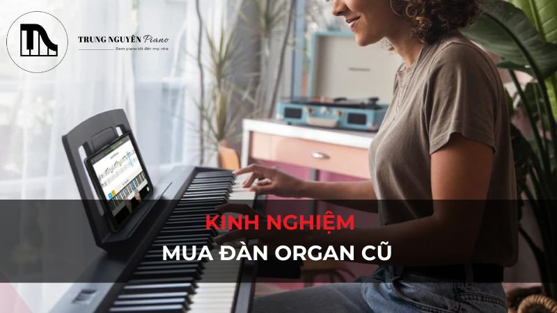 Kinh nghiệm mua đàn organ cũ: Tránh 10+ lỗi, chọn đàn tốt