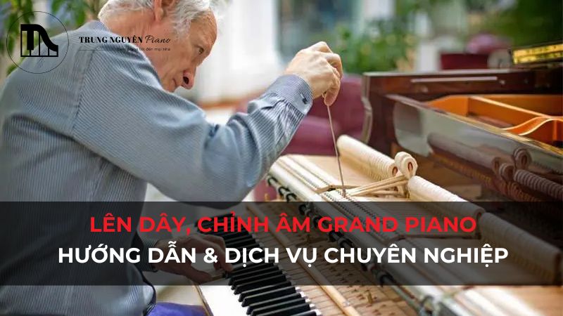 Chỉnh âm, lên dây Grand Piano: Hướng dẫn chuyên nghiệp