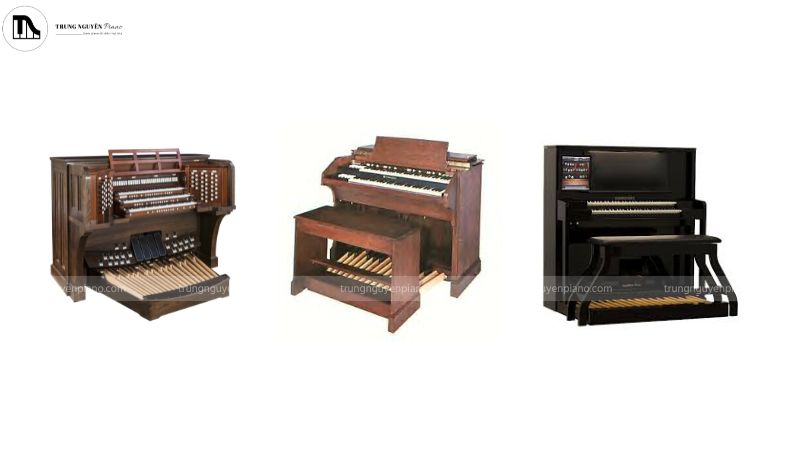 Các loại organ từ cổ đại đến hiện đại