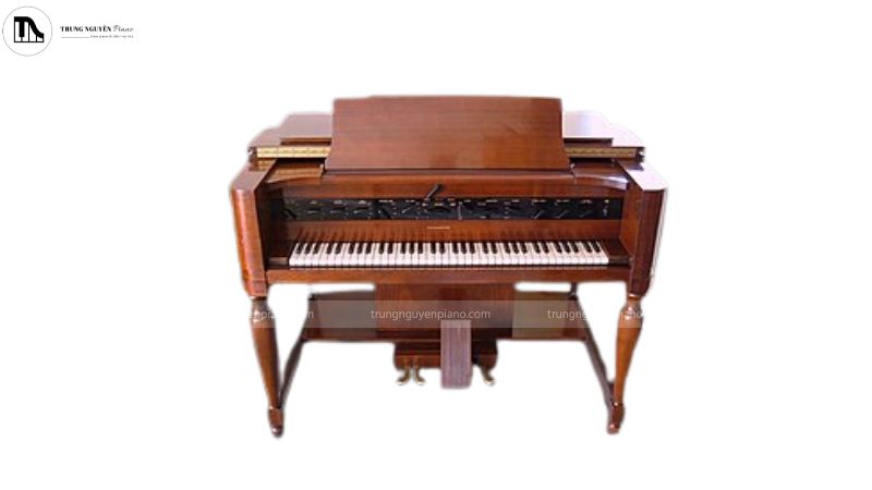 Mẫu organ điện đời đầu