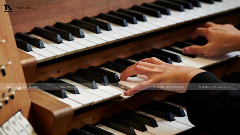 Organ giữ một vị trí quan trọng trong thế giới nhạc cụ