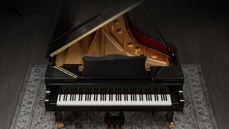 Grand Piano trở thành nhạc cụ lý tưởng cho nhiều hình thức âm nhạc