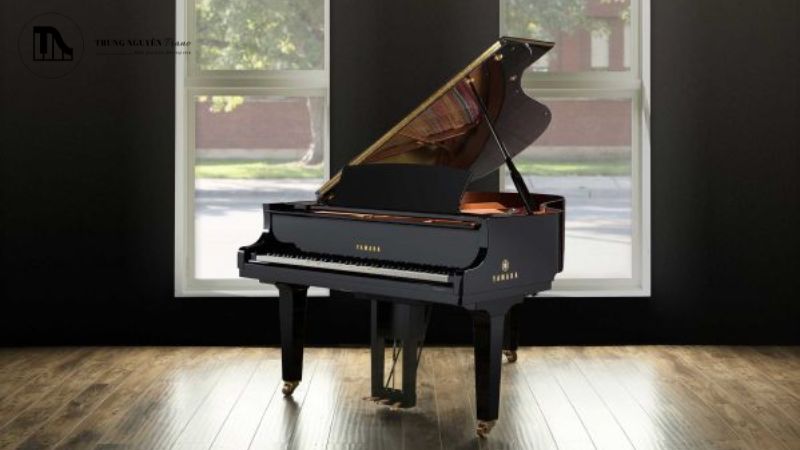 lịch sủ Grand Piano trải qua nhiều giai đoạn nghiên cứu, phát triển
