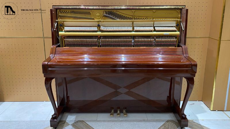 Lịch sử phát triển và ra đời của