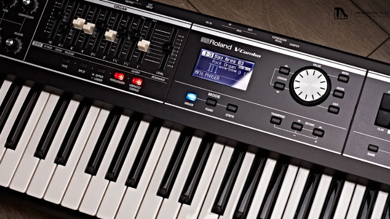 Lợi ích học đàn organ: Tác dụng toàn diện cho trí não, tâm hồn 1 Organ đã trở nên quen thuộc trong giới nhạc cụ