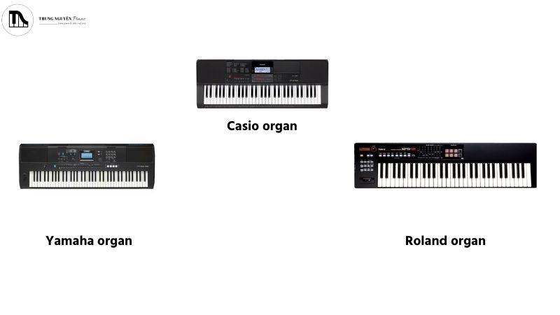 Lợi ích học đàn organ: Tác dụng toàn diện cho trí não, tâm hồn 7 Các mẫu đàn Organ phổ biến, chất lượng