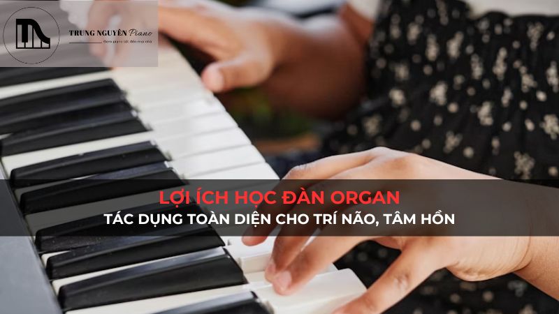 Lợi ích học đàn organ: Tác dụng toàn diện cho trí não, tâm hồn