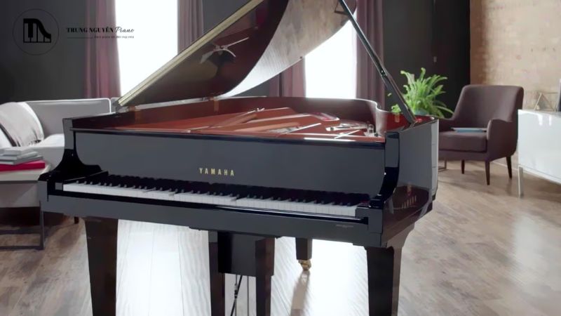 Top địa điểm mua đàn piano TPHCM uy tín, chất lượng 2025 1 Chọn đúng nơi mua đàn piano uy tín sẽ đảm bảo sự hài lòng và an tâm