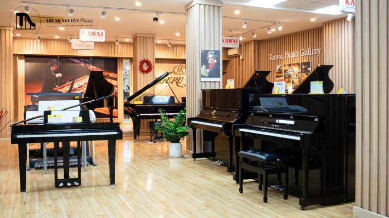 Top địa điểm mua đàn piano TPHCM uy tín, chất lượng 2025 12 Kiểm tra ngoại hình để mua đàn piano uy tín