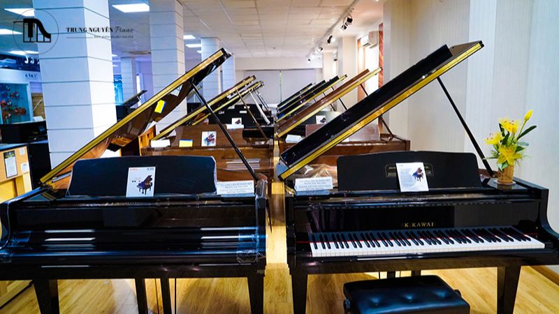 Top địa điểm mua đàn piano TPHCM uy tín, chất lượng 2025 14 Kiểm tra bộ máy (Action) và Pedal (Piano Cơ)
