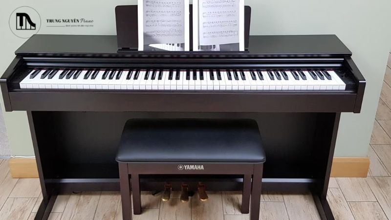 Top địa điểm mua đàn piano TPHCM uy tín, chất lượng 2025 2 Một showroom piano uy tín cần mang đến sự lựa chọn phong phú