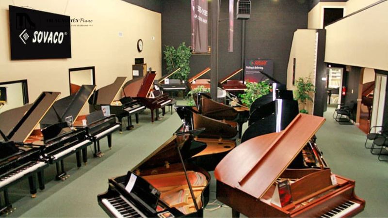 Top địa điểm mua đàn piano TPHCM uy tín, chất lượng 2025 21 Mức giá trung bình cho một cây piano tốt ở TPHCM là bao nhiêu?