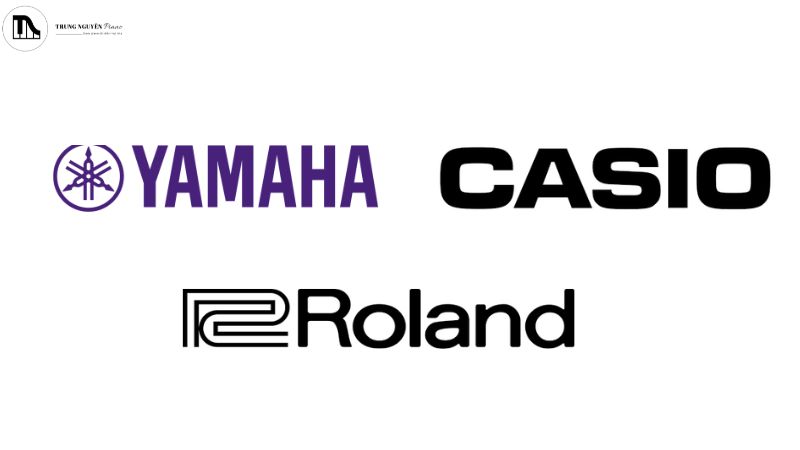 Các thương hiệu nổi tiếng và uy tín