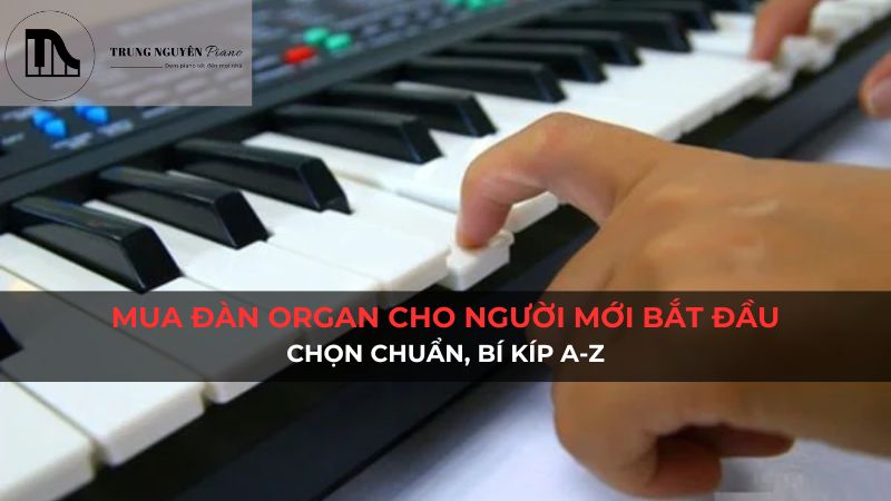 Mua đàn organ cho người mới bắt đầu: Chọn chuẩn, bí kíp a-z