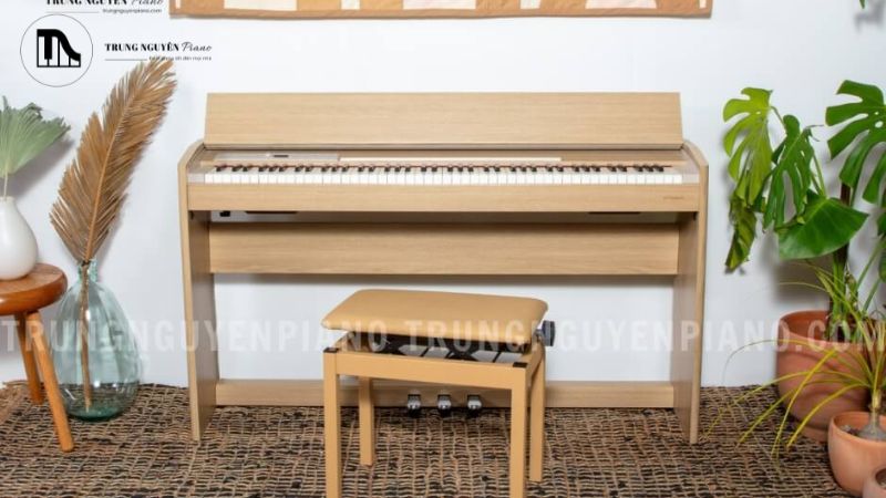 Với đội ngũ nhân viên am hiểu sâu sắc về các loại đàn organ