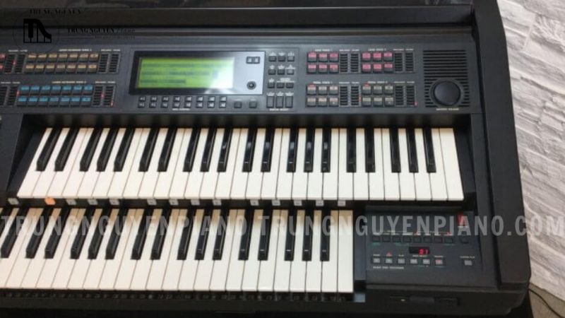 Việc sở hữu nhạc cụ sớm sẽ tạo điều kiện thuận lợi cho việc luyện tập thường xuyên và đều đặn