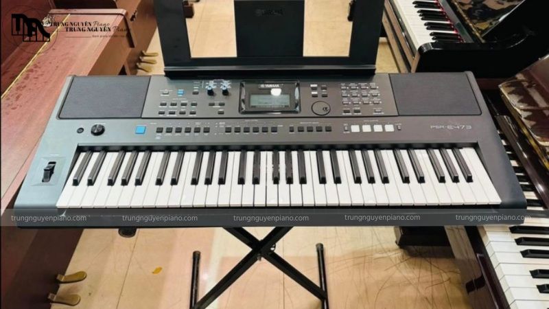 Sở hữu đàn organ để thực hành là cần thiết với người mới học hoặc các bạn sinh viên ngành nhạc