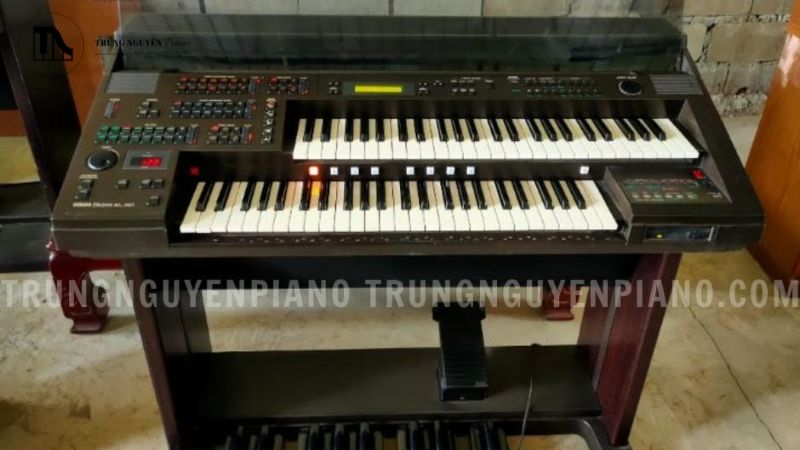 Đầu tư cho con cái phát triển năng khiếu âm nhạc là một quyết định sáng suốt của các bậc phụ huynh mua đàn cho