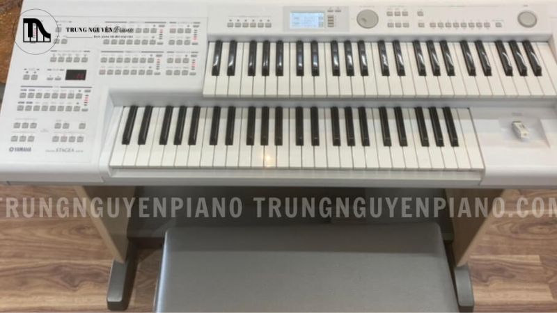 Đối với nhạc công hay giáo viên âm nhạc mới bắt đầu sự nghiệp