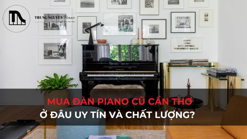 Mua đàn piano cũ Cần Thơ ở đâu uy tín và chất lượng?