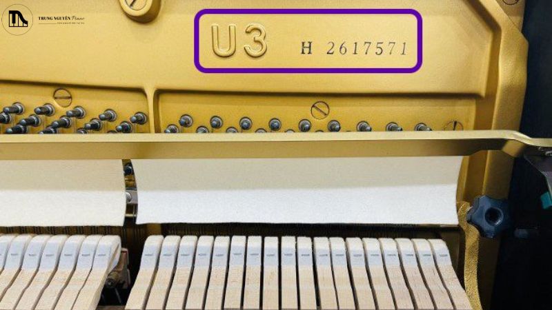 Nguồn gốc xuất xứ rõ ràng giúp bạn biết được tuổi đời thực sự của đàn