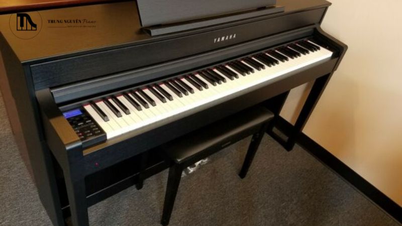 Lưu ý về giá cả và thương lượng