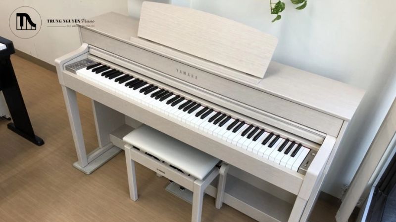 Vận chuyển và lắp đặt đàn piano tại Đà Nẵng