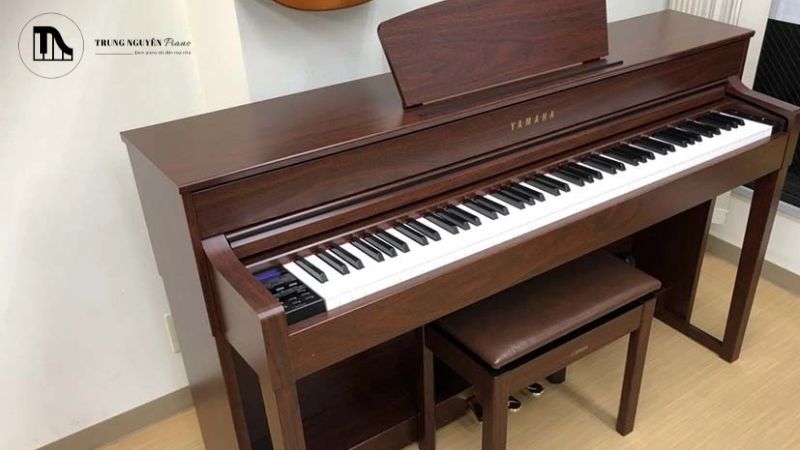 Piano cơ và piano điện: Loại nào phù hợp với bạn?