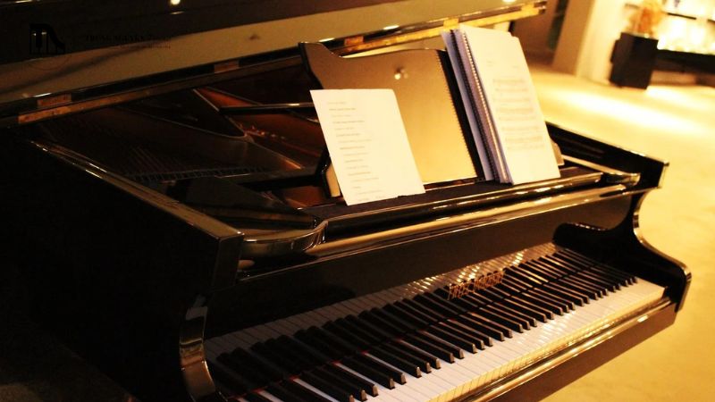 Giá cả luôn là yếu tố quan trọng, nhưng cần đi đôi với chất lượng và dịch vụ