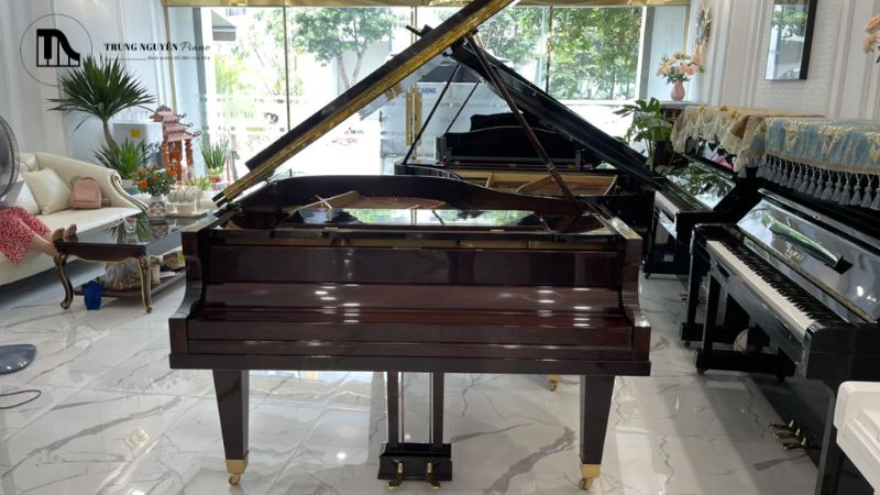 Nhân viên cần có kiến thức chuyên môn sâu về các loại đàn