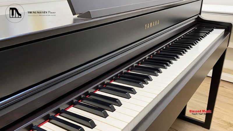 Cách kiểm tra đàn piano chi tiết trước khi mua (Mới & Cũ)