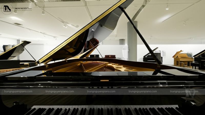 Hãy trực tiếp đến showroom để trải nghiệm