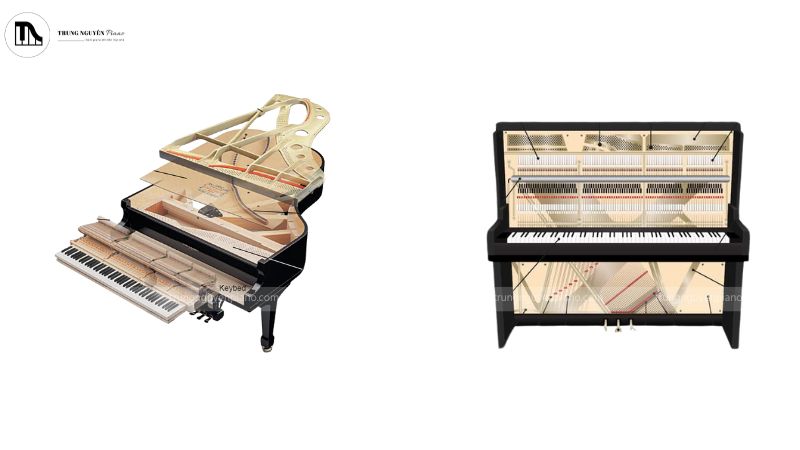 Cấu tạo bộ máy giữa grand piano và upright piano