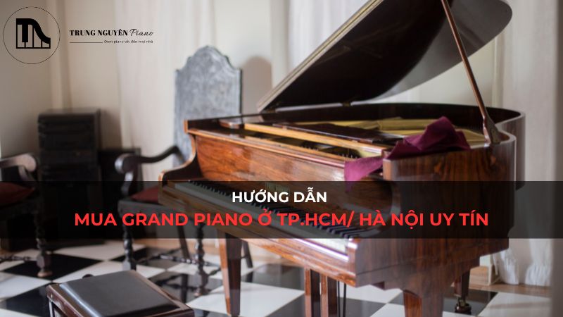 Hướng dẫn mua grand piano TP.HCM/ Hà Nội uy tín