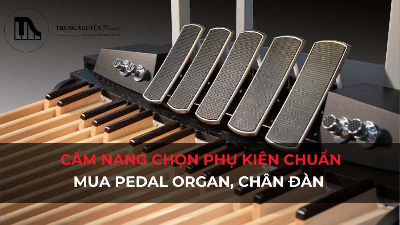 Mua Pedal Organ, chân đàn: Cẩm nang chọn phụ kiện chuẩn