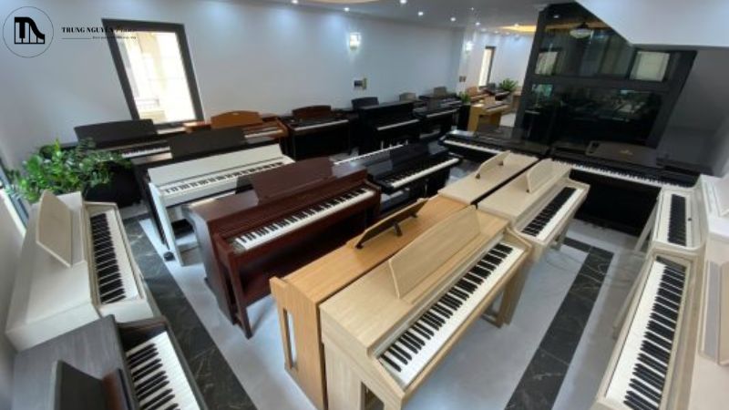 Đàn piano đa dạng mẫu mã được trưng bày trong showroom