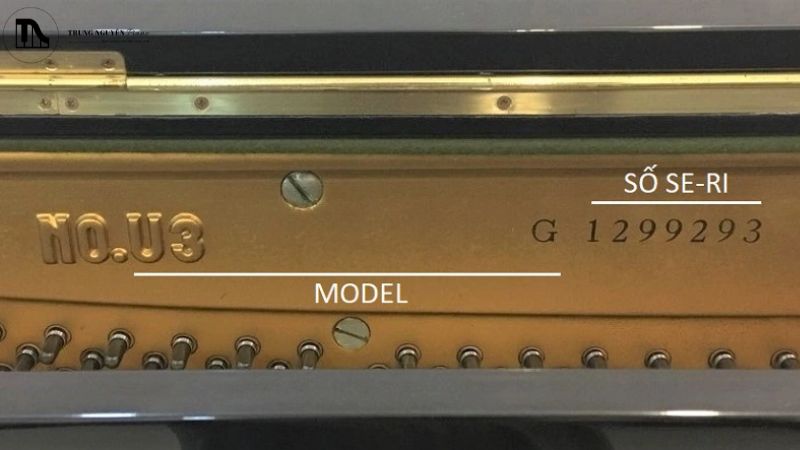 Một cửa hàng uy tín sẽ luôn minh bạch về thông tin sản phẩm