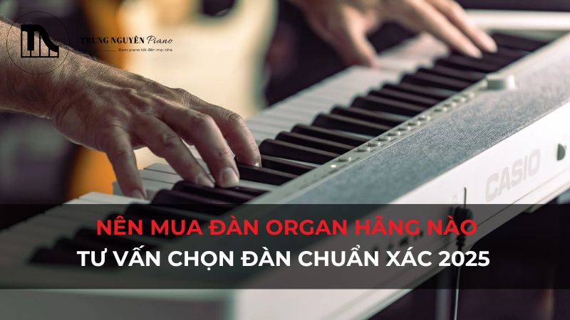 Nên mua đàn Organ hãng nào: Tư vấn chọn đàn organ chuẩn xác